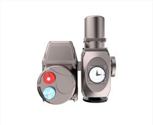 วาล์วปรับเครื่องยนต์สำหรับเบอร์นาร์ด