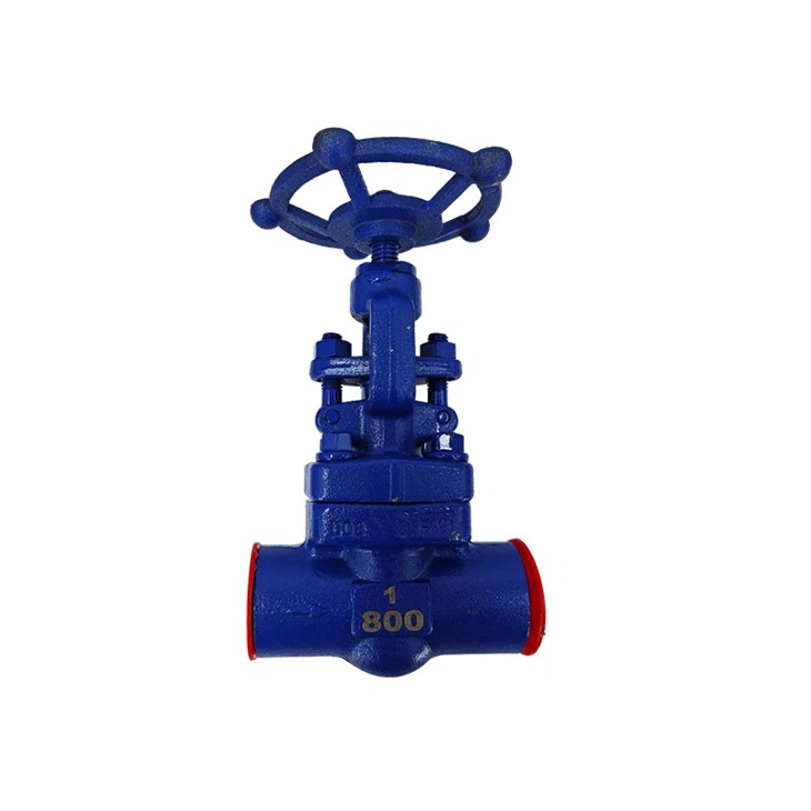 1inch Class 300 Steam Control Welded Globe Valve