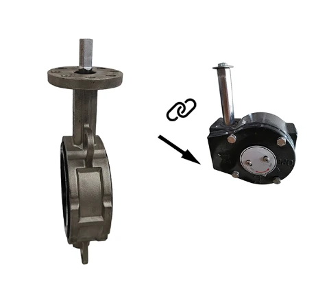 product-461-448 product-461-448