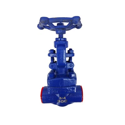 3/4 นิ้ว Class300 เหล็กหล่อเชื่อมโกลบวาล์ว