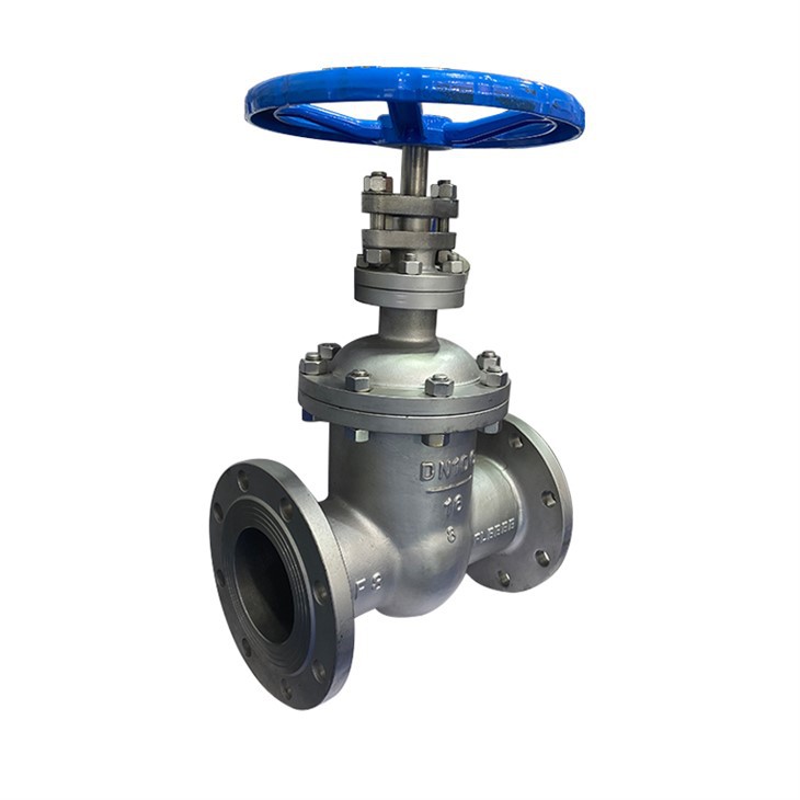 Stainless Steel Resilient Seated Gate Valve Pn16