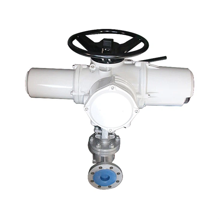 Wcb Automatic Globe Control Valve